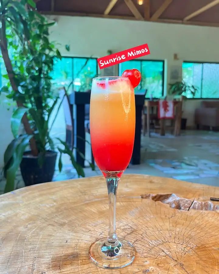 Fresh Orange Juice